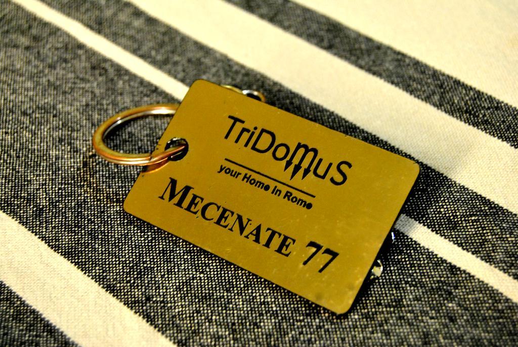 Tridomus Apartment - Mecenate 77 Rome Exterior photo